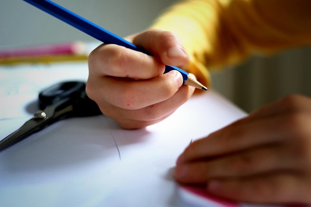 Photo d'illustration de la page.